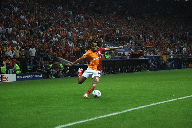 以收获丰富 以收获丰富