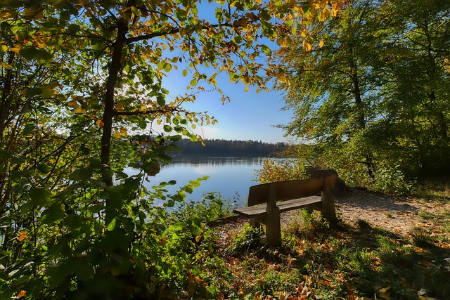 新排名揭示 新排名揭示