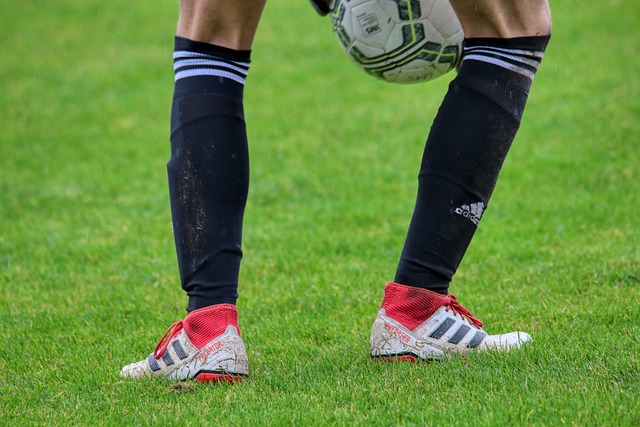 截能力闻名 截能力闻名