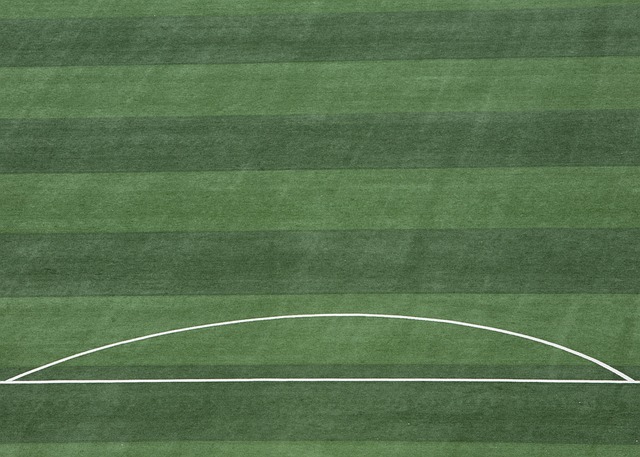 这样的调整 这样的调整