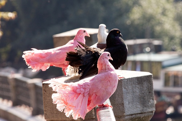 资需求究竟 资需求究竟