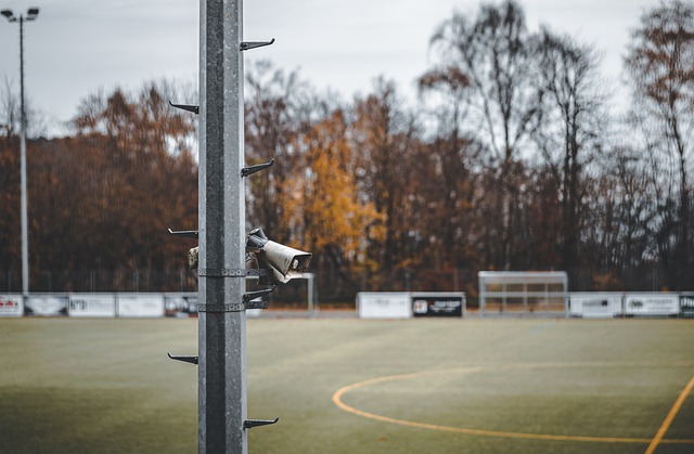 在这样一个 在这样一个