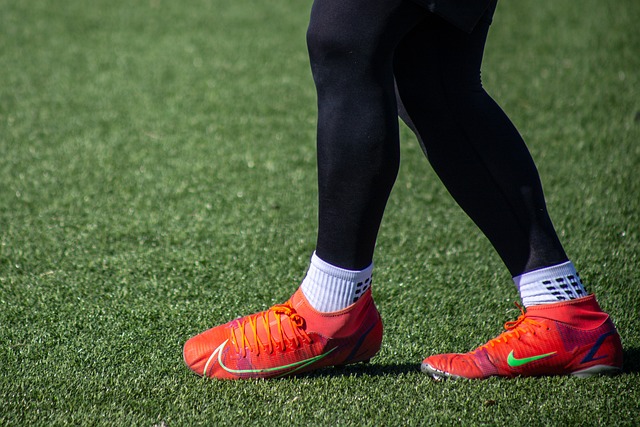 詹皇的观点 詹皇的观点