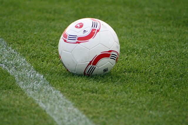 詹姆斯表示 詹姆斯表示