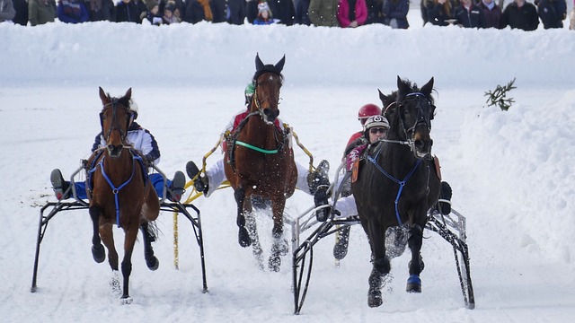烈的求胜欲 烈的求胜欲