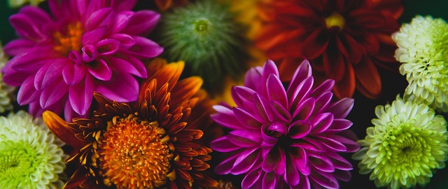 稳健统治了 稳健统治了