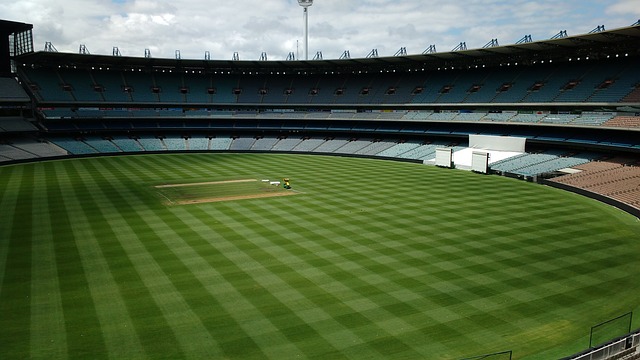 迷和业内人 迷和业内人