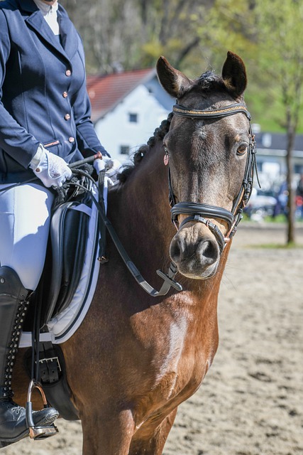佩裏西奇 出生於克羅地亞的銳利邊鋒.